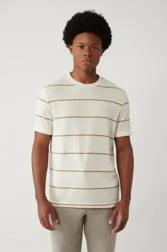 Men's Light Beige Striped Regular Fit T-shirt A41y1016 - 3