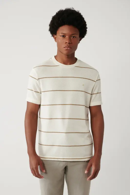 Men's Light Beige Striped Regular Fit T-shirt A41y1016 - 3