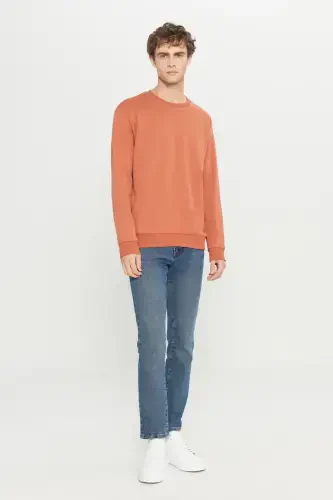 Men's Light Brown Standard Fit Regular Fit Fleece Lined 3 Thread Crew Neck Sweatshirt-Brown - AC&CO / ALTINYILDIZ CLASSICS (1)