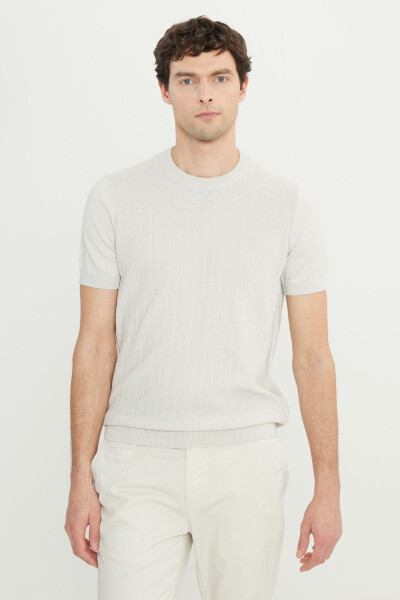 Men's Light Gray 100% Cotton Standard Fit Regular Cut Crew Neck Jacquard Knitted T-Shirt - 7