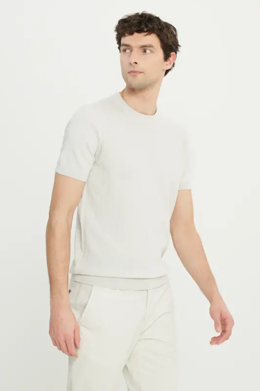 Men's Light Gray 100% Cotton Standard Fit Regular Cut Crew Neck Jacquard Knitted T-Shirt - 4