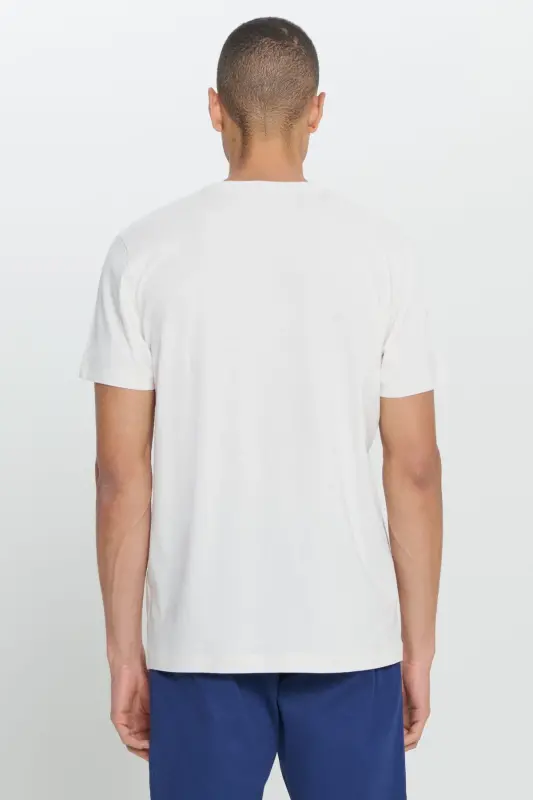 Men's Light Gray Standard Fit Regular Fit 100% Cotton Printed Crew Neck T-Shirt - 3
