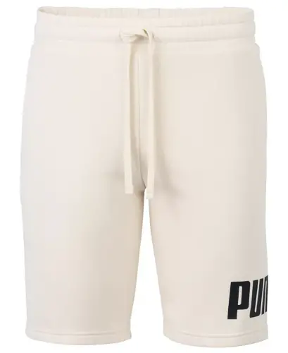 Men's Logo Drawstring Shorts-Alpine Snow - 1