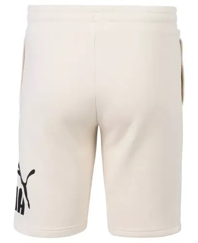 Men's Logo Drawstring Shorts-Alpine Snow - PUMA (1)