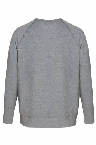 Men's Men's Sweatshirt Cotton Fabric - Grey-ANTHRACITE - 3