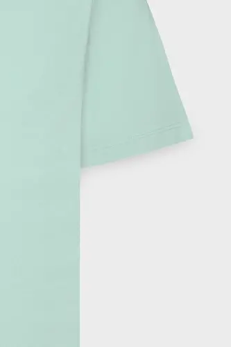 Men's Mint 100% Cotton Slim Fit Narrow Cut Crew Neck Basic T-Shirt-Mint - 14