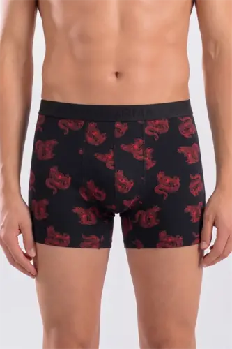 Men's Patterned Boxer 10-Pack Cotton Lycra Soft and Flexible Fabric - 3