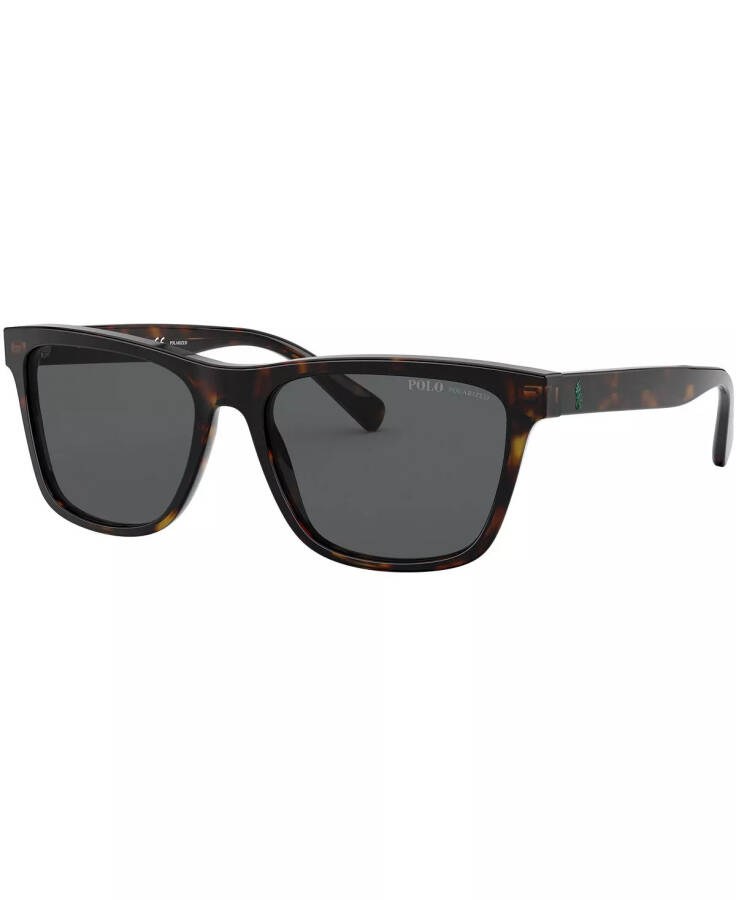 Men's Polarized Sunglasses, Polar PH4167 DARK HAVANA/POLAR GREY - 1