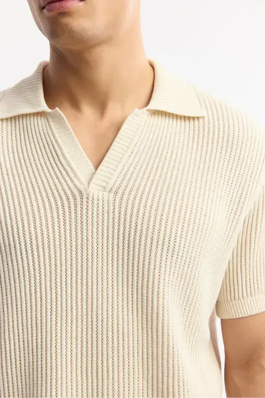 Men's Regular Fit Beige Polo Neck 100% Cotton Knitted T-Shirt A51Y5166 - 3