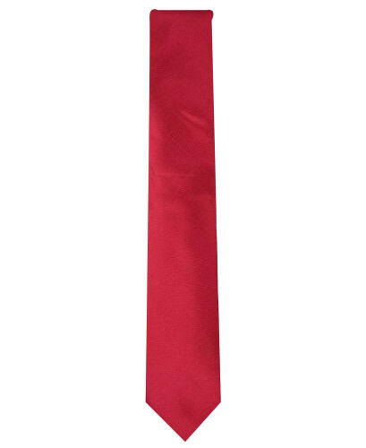 Men's Solid Texture Slim Tie, Created for Modazone - ALFANI (1)