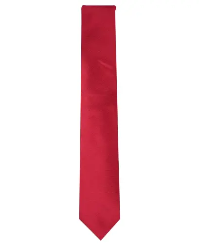 Men's Solid Texture Slim Tie, Created for Modazone - ALFANI (1)