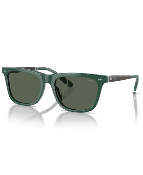 Men's Sunglasses PH4205U Shiny Green - 1