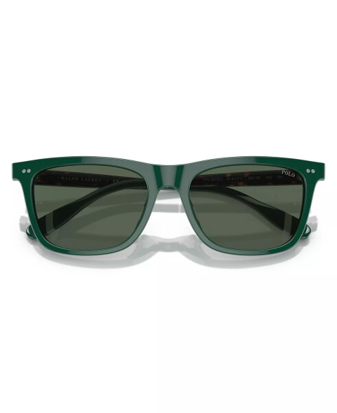 Men's Sunglasses PH4205U Shiny Green - 4