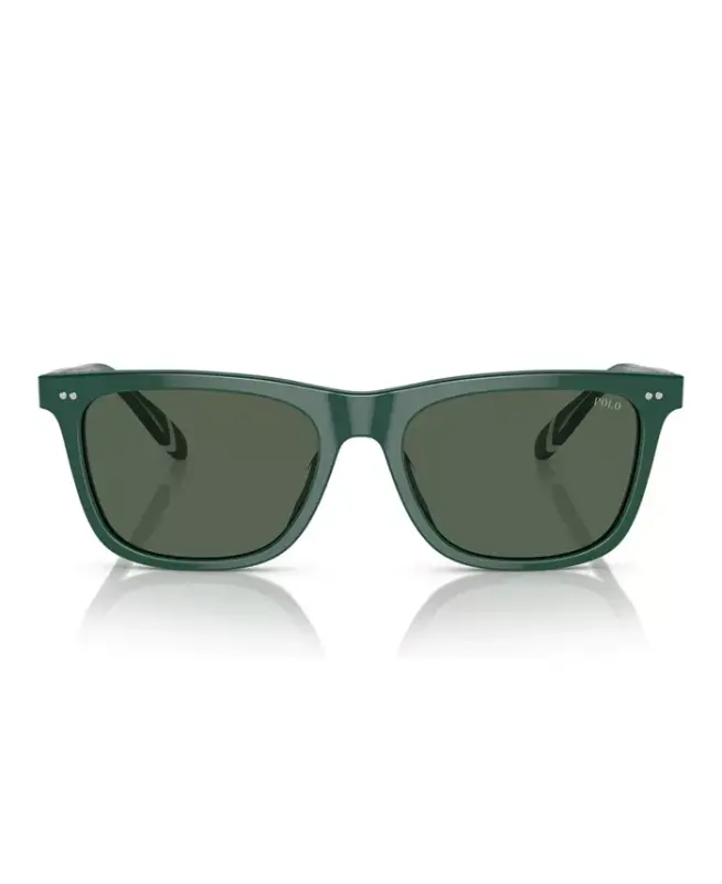 Men's Sunglasses PH4205U-Shiny Green - 3