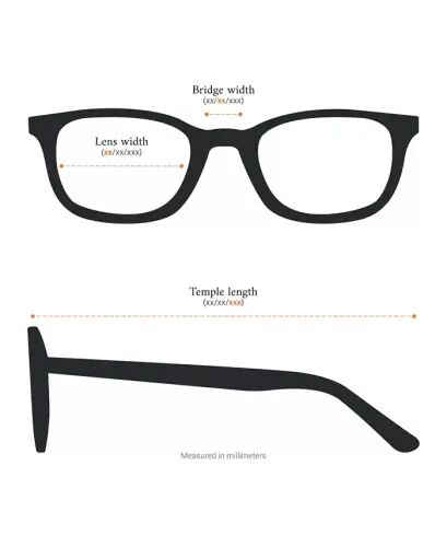 Men's The Roadster Sunglasses RL7080Q - 6