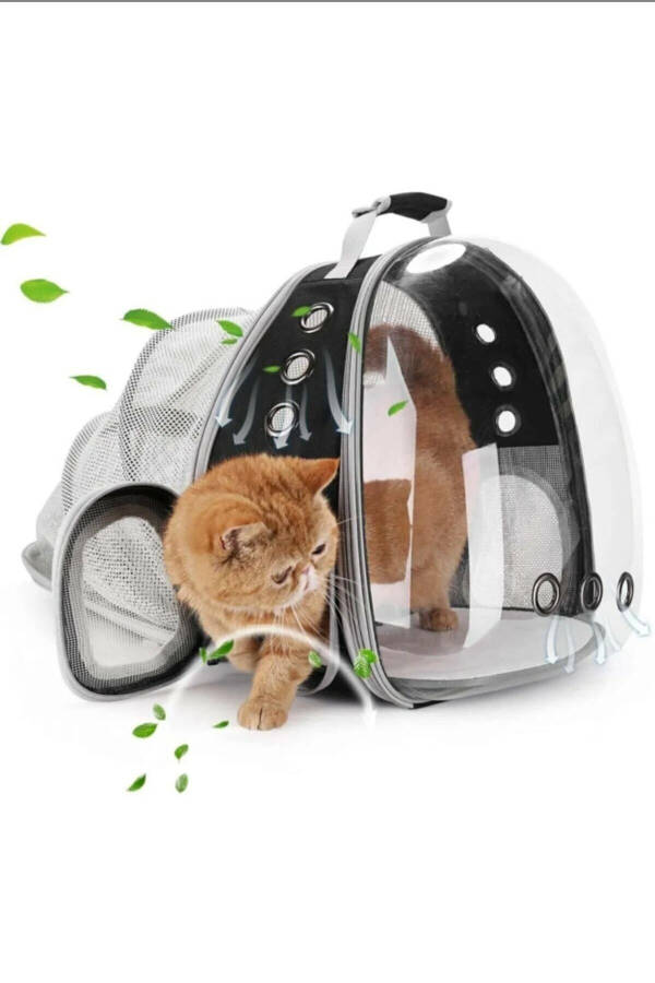 Mesh Openable Transparent Astronaut Cat Dog Pet Carrier Bag - 11