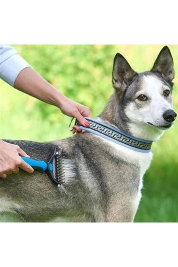 Metal kedi köpek tüy topak açıcı tarak (plastik saplı) - 19