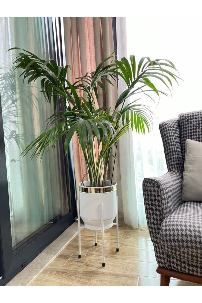 Metal Saksı Ayaklı Çiçeklik Dekoratif Beyaz Saksı Vazo Saksılık 50x30cm-Beyaz - ÖZGE DESIGN