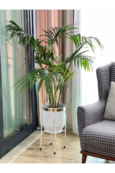 Metal Saksı Ayaklı Çiçeklik Dekoratif Beyaz Saksı Vazo Saksılık 50x30cm-Beyaz - ÖZGE DESIGN (1)