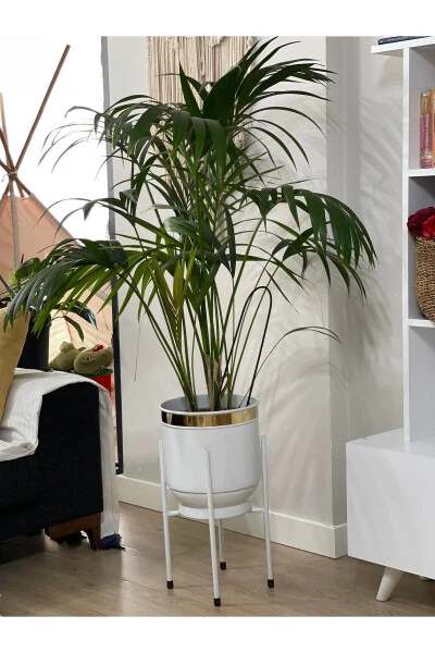 Metall guldon Oyoqchali Dekorativ Oq Guldon Vaza Guldon 50x30sm - 3