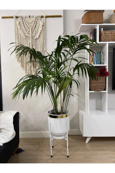 Metall guldon Oyoqchali Dekorativ Oq Guldon Vaza Guldon 50x30sm - 4