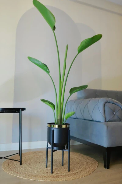 Металлическая подставка для растений черная золотая детальная декоративная ваза для горшков 41x21cm - GENEL MARKALAR