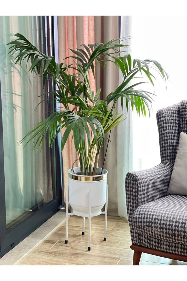 Металлический подставка для цветов Декоративный белый горшок ваза кашпо 50x30см - 2