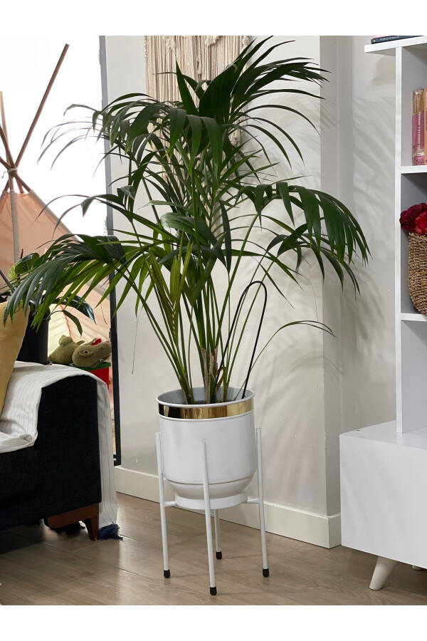 Металлический подставка для цветов Декоративный белый горшок ваза кашпо 50x30см - 3