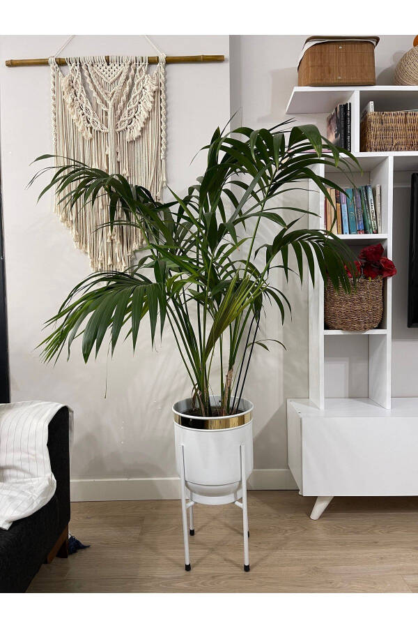 Металлический подставка для цветов Декоративный белый горшок ваза кашпо 50x30см - 4