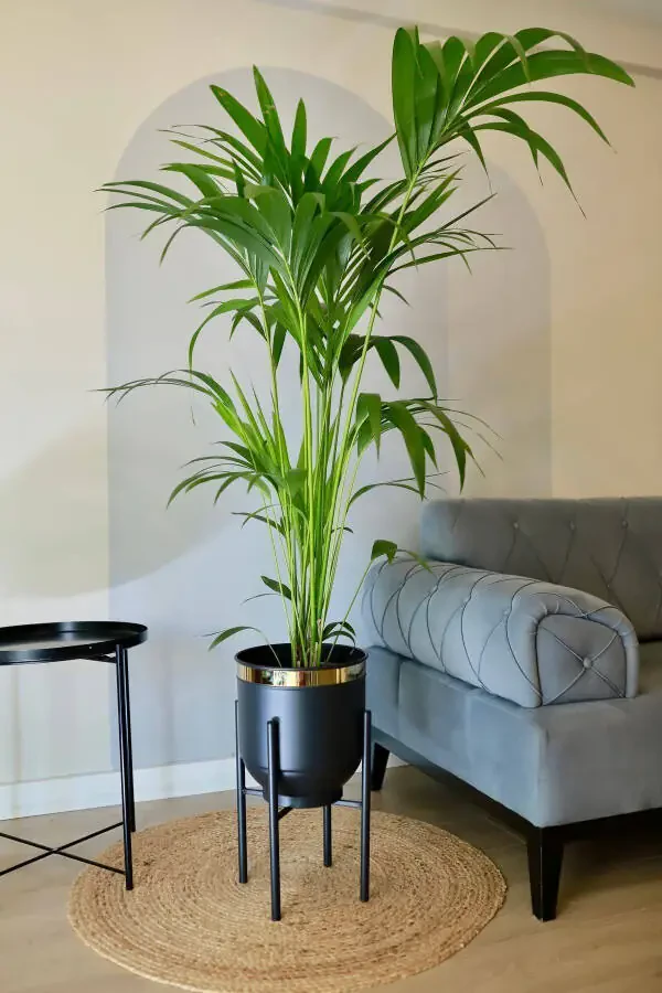 Металлический подставной цветочный горшок декоративный черный золотой деталь ваза 50x30 - 2