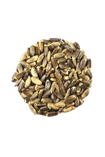 Micro Thistle Seed - Life Source for Your Birds - 250 Grams - 2