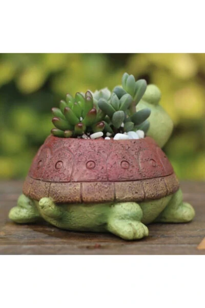 Mini Turtle Pot - LINA ART HEDIYELIK (1)
