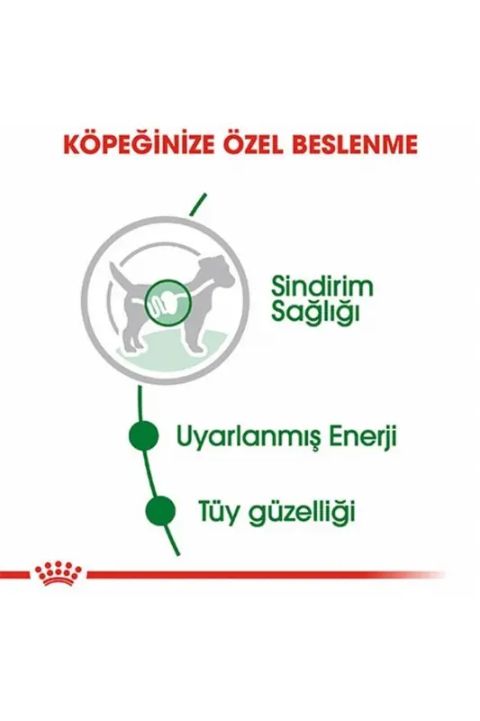 Mini Voyaga Yetgan Itlar Uchun Konserva Oziq-ovqat 12 X 85 gr - 7