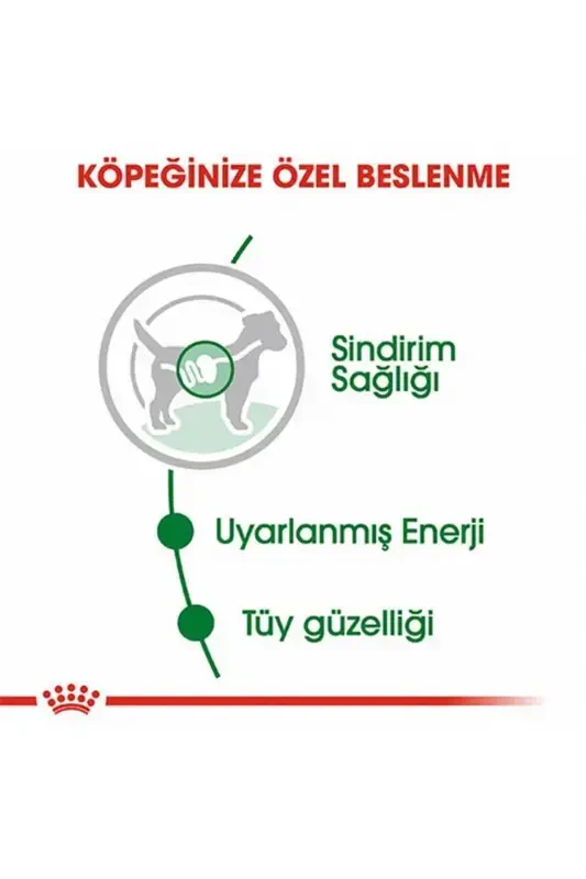 Mini Voyaga Yetgan Itlar Uchun Konserva Oziq-ovqat 12 X 85 gr - 3