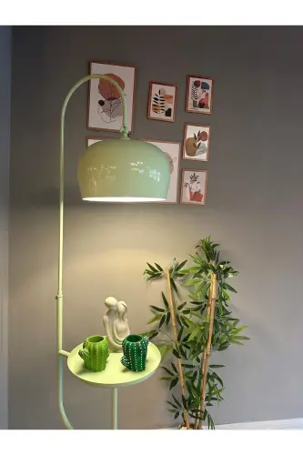 Mint Floor Lamp with Adjustable Head and Stand Modern Decorative Metal Living Room Study Room Lamp - BAMYUM (1)