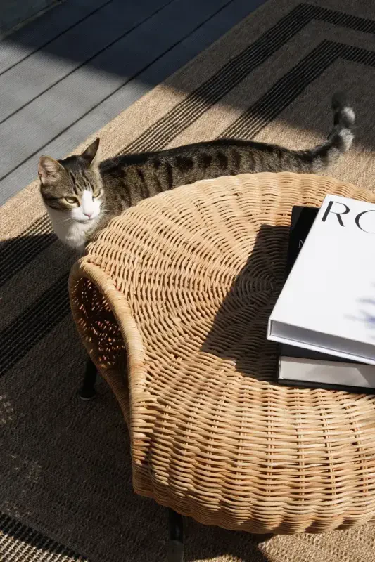 Mocha 668 Qora Gilam Kilim Salon Oshxona Yo'lak Kesma Yo'lak Jgut Hasir Ko'rinishli To'quv Mashina Gilam-Qora 2 - 4