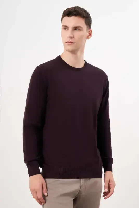 Morven Erkek Mor Basic Bisiklet Yaka Dynamic Fit Rahat Kesim Triko - 2