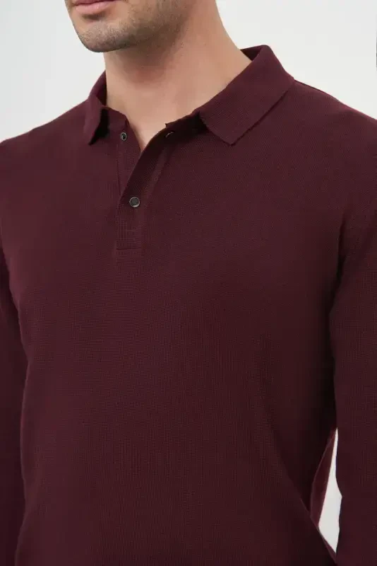 Modazone Men's Burgundy Basic Polo Collar Dynamic Fit Comfort Fit Knitwear - 3