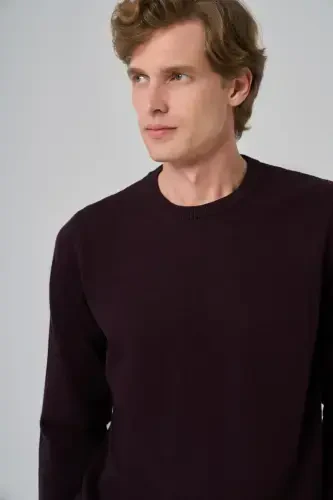 Modazone Men's Purple Basic Crew Neck Dynamic Fit Comfort Fit Knitted Sweater - 3