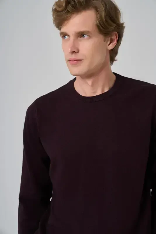 Modazone Men's Purple Basic Crew Neck Dynamic Fit Comfort Fit Knitted Sweater - 3