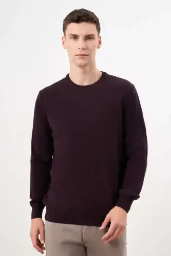 Modazone Men's Purple Basic Crew Neck Dynamic Fit Relaxed Fit Knitwear - 1
