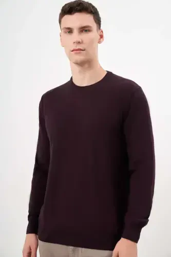 Modazone Men's Purple Basic Crew Neck Dynamic Fit Relaxed Fit Knitwear - 3