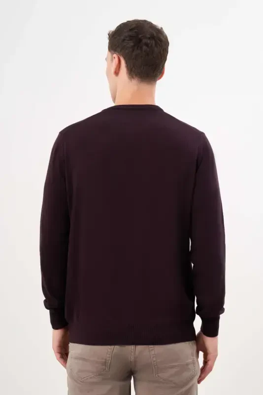 Modazone Men's Purple Basic Crew Neck Dynamic Fit Relaxed Fit Knitwear - 5