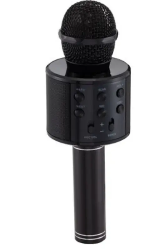 Monadm Wireless Karaoke Microphone Bluetooth Mp3 Player Sd-usb-aux Input-DARK - REGNUM
