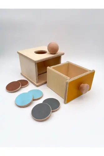 Montessori To'p va Tangalar Qutisi (2 ta 1 da), 1 Yilga Bolajonlar Uchun Yog'och O'yinchoqlar, Birinchi O'rganish O'yinchoqlar - 1