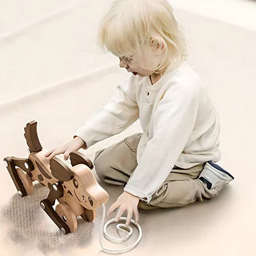 Montessori Toys 1 2 3 4 Years Old Boys Girls Wooden Walking Pull Dog Toy for Baby Toddler, Pull Along Walking Toys, Walk Along Puppy Pull, Wooden Pull & Push Toy - 6