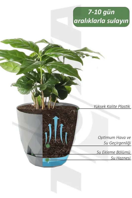 Moonlight Flower Pot 9.2 Liters Water Green 27.5cm Baklava Patterned Self-Plate Glossy Plastic-COFFEE - 3