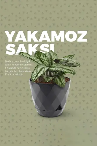 Moonlight Flower Pot 9.2 Liters Water Green 27.5cm Baklava Patterned Self-Plate Glossy Plastic-COFFEE - 6