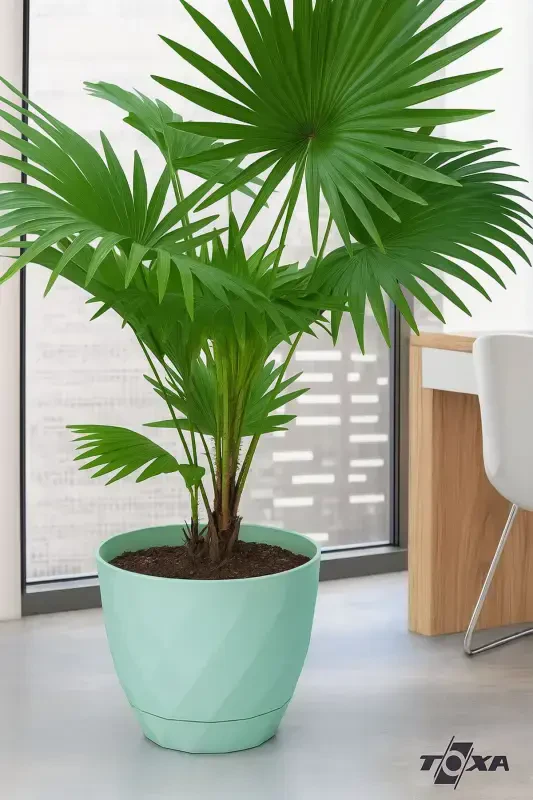 Moonlight Flower Pot 9.2 Liters Water Green 27.5cm Baklava Patterned Self-Plate Glossy Plastic-COFFEE - 5