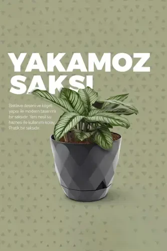 Moonlight Flower Pot 9.2 Liters Water Green 27.5cm Baklava Patterned Self-Plate Glossy Plastic-COFFEE - 6